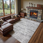 6x9 Area Rug Living Room Rugs - Washable Neutral Modern Abstract Soft Thin Rug Indoor Floor No Slip Rug Carpet for Bedroom Under Dining Table Home Office Decor - Light Gray