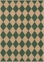 Lahome Checkered Outdoor Rug 5x7, Washable Rug for Living Room Office Indoor Outdoor Carpet, Farmhouse Non Slip Non Shedding Green Carpet for Dining Room Sunroom Patio Courtyard