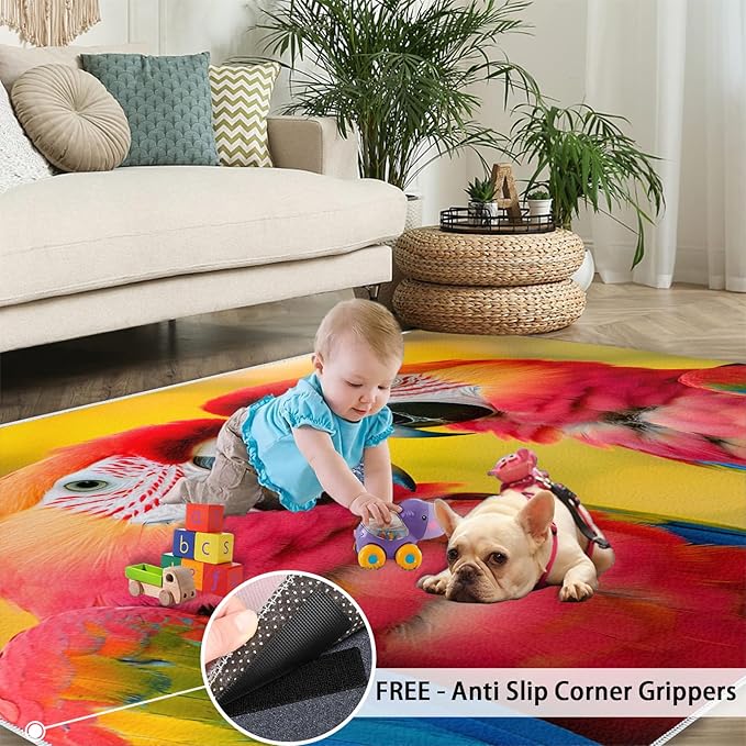 Parrot Rugs for Bedroom - 5x7 Area Rug - Cute Parrot Rugs for Living Room, Colorful 3D Animal Rug, Non-Slip Washable Home Decor Carpet