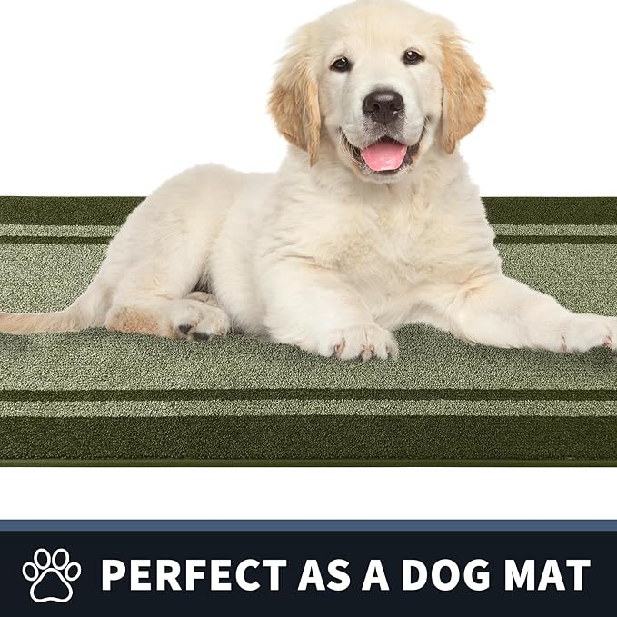 PURRUGS Dirt Trapping Door Mat 24" x 60", Non-Slip/Skid Machine Washable Entryway Rug, Shoes Scraper, Area Rug, Super Absorbent Welcome Mat for Muddy Wet Shoes and Paws, Budding Green & Sage Green