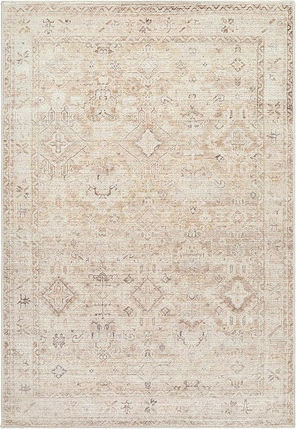 Hauteloom Nakia Living Room, Bedroom Area Rug - Traditional - Beige, Taupe, Ivory - 3'10" x 5'7"