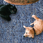 ReaLife Rugs Machine Washable Area Rug - Living Room Bedroom Bathroom Kitchen Entryway Office - Padded Low Pile Stain Resistant Premium - Boho Vintage Traditional - Lyle - Blue 7'6" x 9'6"