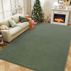 Amearea Large Modern Area Rugs for Bedroom Living Room, 5x8 Feet Sage Green Thickened Memory Foam Rug, Fluffy Indoor Washable Rugs Non Slip Minimalist Carpet for Boys Girls Dorm Nursery Room Decor