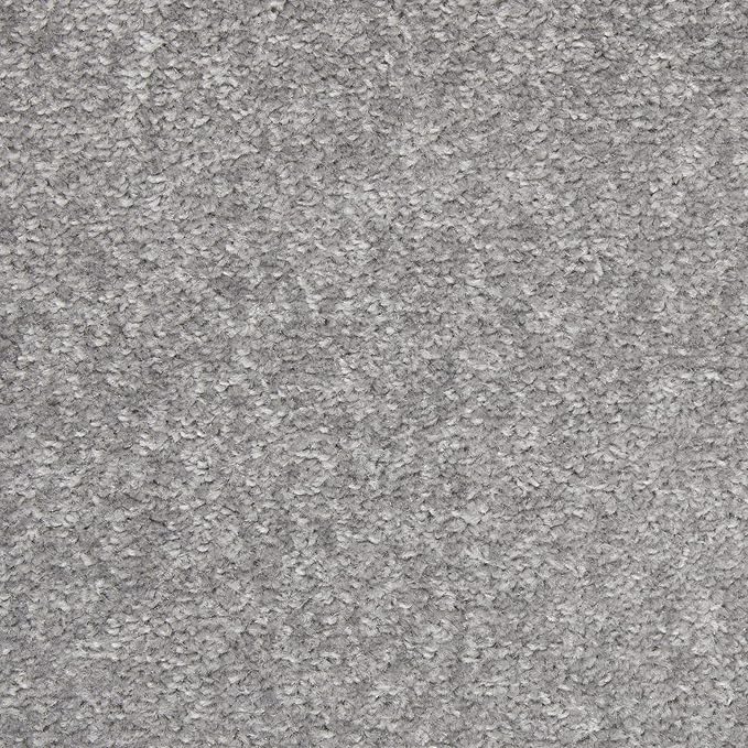 Nourison Home Nourison Essentials Silver Grey 6' x 9' Area Rug - Easy Clean, Non Shedding, Bed Room, Living Room, Dining Room, Kitchen (6' x 9')