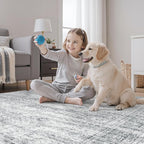 3x5 Rug, Small Area for Kitchen, Entryway, Machine Washable Non-Slip Throw Rug, Vintage Carpet for Nursery Coffee Table Grey