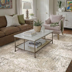Beige Area Rug 5x7 Machine Washable Modern Abstract Living Room Carpet Non Slip Neutral Low Pile Soft Non Shedding Bedroom Contemporary Indoor Rug for Kitchen Office Laundry Dining Room