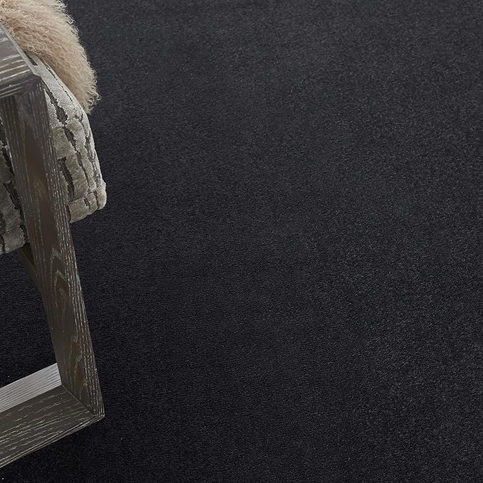 Nourison Home Nourison Essentials Black 7' x 10' Area Rug - Easy Clean, Non Shedding, Bed Room, Living Room, Dining Room, Kitchen (7' x 10')