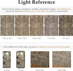 8x10 Brown Washable Area Rug for Living Room Bedroom Neutral Vintage Soft Non Slip Rug Low Pile Distressed Carpet for Dining Room Nursery Office Indoor