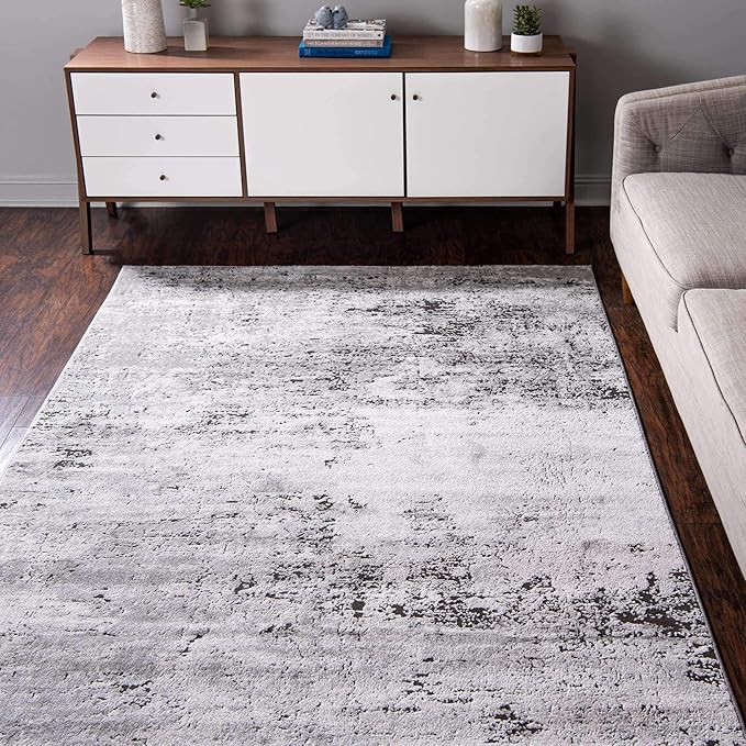 Rugs.com Leipzig Collection Area Rug – 4X6 Grey Low-Pile Rug Perfect for Entryways, Kitchens, Breakfast Nooks, Accent Pieces