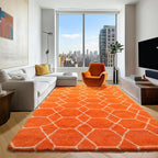 ONASAR Rugs for Living Room Bedroom, 5x8 Washable Fluffy Orange and White Area Rug, Geometric Boho Soft Plush Shaggy Fuzzy Floor Carpet for Nursery Kids Girls Boys Teen Dorm Home Decor Aesthetic