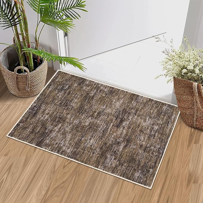 RUGSREAL Small Area Rug 2x3 Entryway Mat with Rubber Backing Stain Resistant Throw Carpet Modern Solid Color Bath Mat Contempowary Washable Rug for Living Room Bedroom Dining Room Kitchen, Brown 2x3