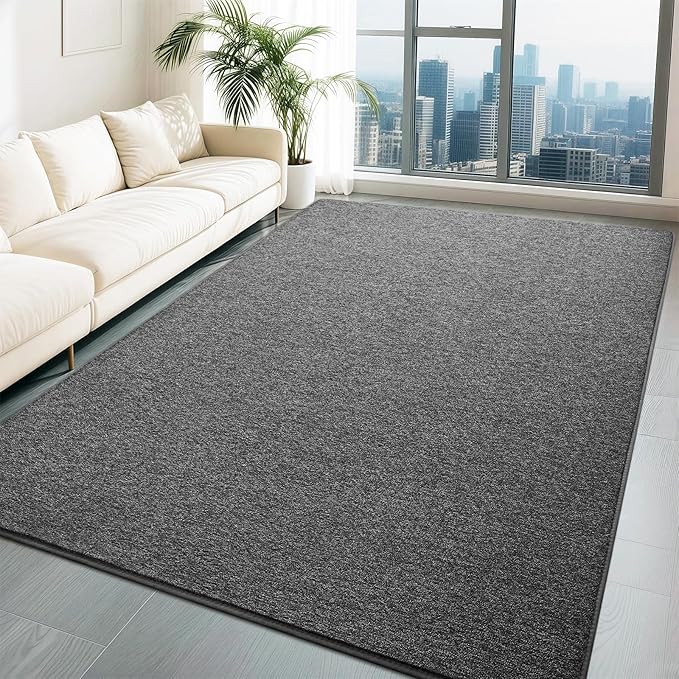 HQAYW 6x9 Large Area Rugs for Living Room Bedroom, Modern Thickened Memory Foam Soft Rug, Low Pile Minimalist Washable Non Slip Carpets for Kids Girls Boys Nursery Dorm Home Decor, Dark Grey