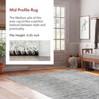 nuLOOM Alessi Solid Farmhouse Cotton Area Rug, 3x5, Grey