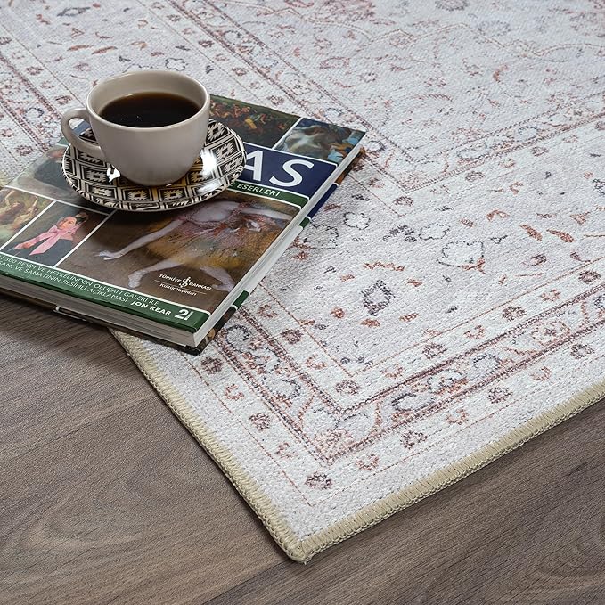 Fame Rugs Turkish Rug. Washable Vintage Oriental Antique Inspired Traditional Doormat Small Modern Area Rugs Luxury Entryway Entry Bedroom Bathroom Kitchen (411CC, 9' x 12')