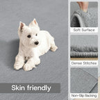 Solid Washable Area Rug - 10x14 Medium Pile Faux Cashmere Carpet for Living Room Bedroom, Grey