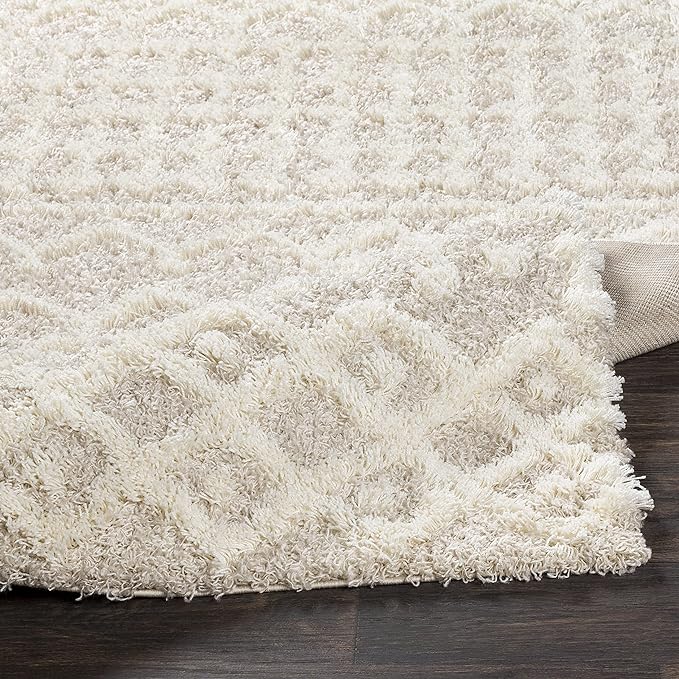 Livabliss Hapsburg Moroccan Shag Area Rug, 4'3" x 5'7", Beige