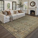Area Rug 6x9 Brown Living Room Washable Vintage Carpet Non Slip Indoor Retro Traditional Accent Throw Large Rug for Office Bedroom Dining Room Playroom
