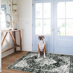 Moynesa Ultra-Thin Washable Vintage Area Rug - 3x5 Boho Entryway Rug Oriental Medallion Living Room Mat Non-Slip Non-Shedding Stain Resistant Indoor Accent Carpet for Kitchen Bedroom, Black/White