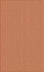 IOHOUZE Washable Area Rug 3x5 Non Slip Rubber Backed Woven Rugs for Entryway Rugs Indoor Outdoor Doormat Throw Rug Floor Carpet for Entrance Kitchen Front Door, Rustic Orange