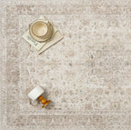 Beige Area Rug 6x9 for Living Room Washable Vintage Carpet Low Pile Non Slip Distressed Soft Traditional Retro Oriental Large Accent Throw Rug Office Bedroom Dining Room Playroom