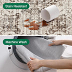 LUMI 4x6 Washable Area Rug for Living Room, Ultra Soft Traditional Vintage Rugs Non Slip with Rubber Backing, Low Profile, High Traffic, Stain Resistant Carpets, Ideal for Bedroom, Dining Room, Indoor