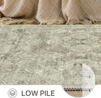 Bavni Area Rug 6x9 Machine Washable Vintage Distressed Print Ultra-Thin Chenille Bedroom Living Room Accent Rug, Low Pile Lightweight Non Slip with Gripper, Forgotten Sandstone