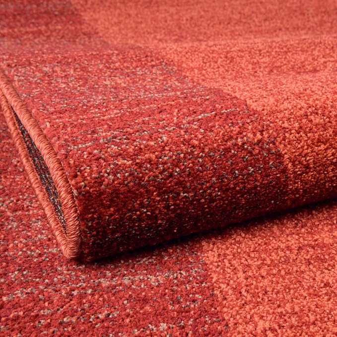 Rugs.com Angelica Collection Rug – 9' x 12' Terracotta Medium Rug Perfect for Living Rooms, Large Dining Rooms, Open Floorplans