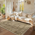 HelloTree Washable Rugs 5x7 Area Rug for Living Room, Vintage Boho Brown Rug Non Slip Carpet Retro Accent Indoor Mat Print Distressed Low Pile Throw Large Rug for Office Bedside-Brown