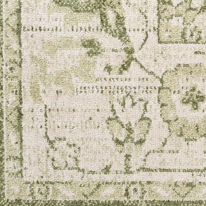 Nourison Home Astra Machine Washable Ivory Green 9' x 12' Area Rug - Easy Clean, Non Shedding, Bed Room, Living Room, Dining Room, Kitchen (9' x 12')