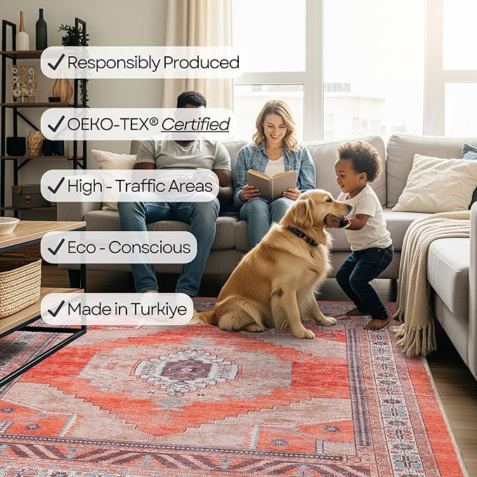 Fame Rugs Turkish Rug. Washable Vintage Oriental Antique Inspired Traditional Doormat Small Modern Area Rugs Luxury Entryway Entry Bedroom Bathroom Kitchen (380TT, 9' x 12')
