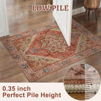 Tangsoo 4x6 Area Rug for Living Room, Washable Vintage Indoor, Distressed Carpet for Bedroom Non Slip for Dining Room, Soft Low Pile Rugs Foldable Floor Rug for Dorm Bedside Bathroom