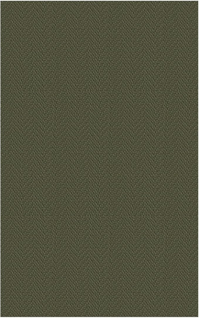 Braided Area Rug 3x5 Ft Washable Rugs for Entryway Throw Rugs with Rubber Backing Boho Door Mat Indoor Entrance Cotton Kitchen Mats Woven Front Door Carpet for Foyer Living Room, Dark Green