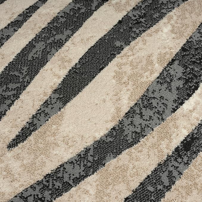 Abani Terra Area Rug for Living Room, Bedroom - Zebra Pattern - Black Cream - 2' x 3' - Durable & Easy to Clean