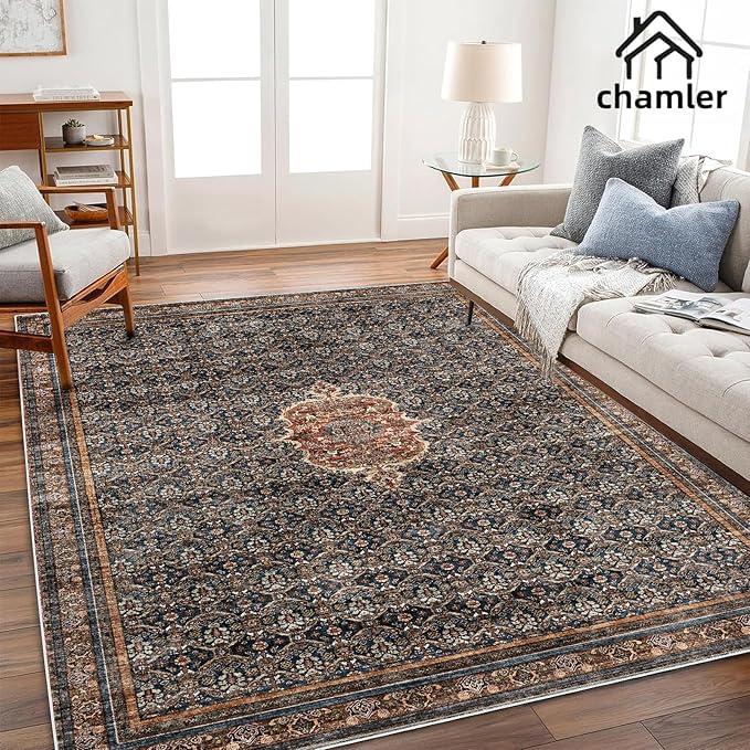 Washable Area Rug 10'x14' Boho Chic Medallion Distressed Design Non-Shedding Easy Care Ideal for High Traffic Areas in Rug for Living Room Bedroom Office Coffee Table Large Carpet