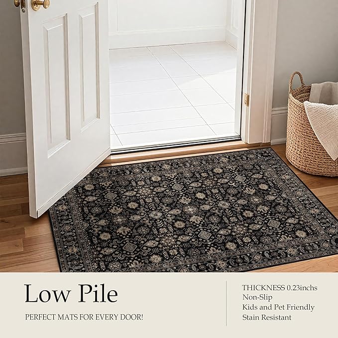 Area Rug Non Slip Machine Washable Ultra Soft Living Room/Bedroom/Kitchen/Outdoor/Classroom Black Gold, 2'×3'