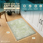 Istana 2x3 Area Rug - Light Green Boho Rugs for Living Room 2x3 - Foldable Small Rugs for Bedroom - Stain Resistant Washable Rug Non Slip - Eco-Friendly Area Rugs Indoor