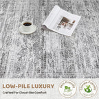 10x12 Area Rug Living Room Rugs - Washable Neutral Modern Abstract Soft Thin Rug Indoor Floor No Slip Rug Carpet for Bedroom Under Dining Table Home Office Decor - Light Gray