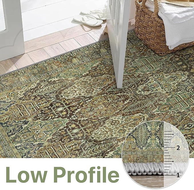 Bavni Area Rug 3X5, Aesthetic Rugs for Living Room, Non Shedding Non Slip Machine Washable Carpet for Office Dorm, Floral Vintage Chenille Rugs for Bedroom, Sage Green