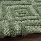Nourison Home Versatile Green 4' x 6' Area Rug - Easy Clean, Non Shedding, Bed Room, Living Room, Dining Room, Kitchen (4' x 6')