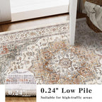 3x5 Vintage Area Rugs for Indoor Entrance Stain Resistant Washable Entryway Rug Ultra Soft Low Pile Lightweight Carpet Faux Wool Rugs for Living Room Bedroom Playroom Home Office