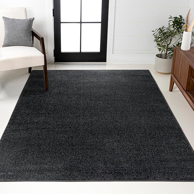 JONATHAN Y Haze Solid Low-Pile Black Indoor Area Rug 3x5, Coastal,Bohemian,Minimalist,Classic, Easy-Cleaning for Living Room,Bedroom,Kitchen,Pet Friendly,Non-Shedding (SEU100I-3)