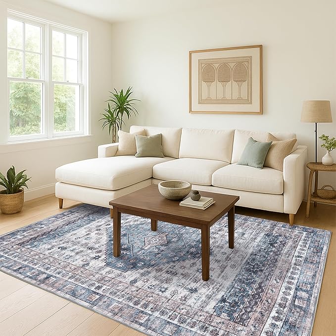 Washable Area Rug. Modern Farmhouse. Vintage. Turkish. Bohemian. Distressed. Oriental. Traditional. Rugs for Living Room. Dining. Bedroom. Office. Entryway. Foyer. (859NC, 2'5" x 6'5")