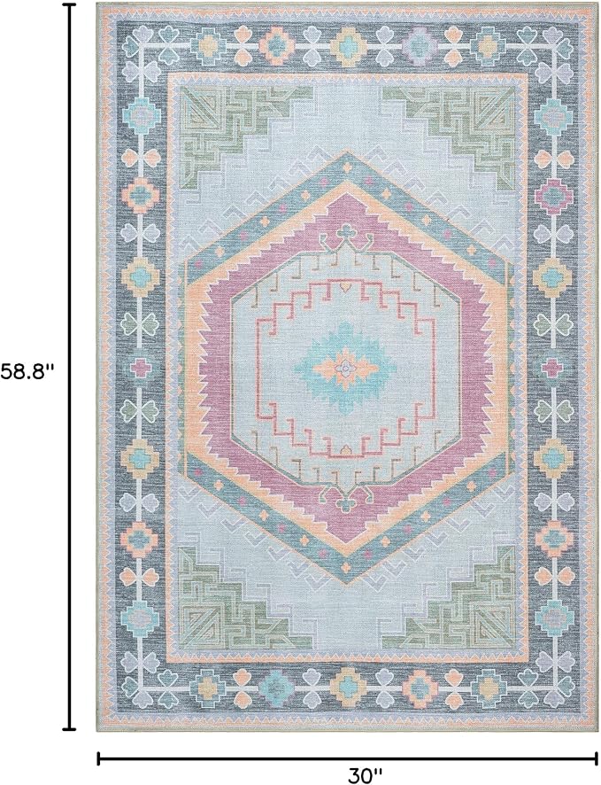 Fame Living Washable Area Rug. Modern Farmhouse. Vintage. Turkish. Bohemian. Distressed. Oriental. Traditional. Rugs for Living Room. Dining. Bedroom. Office. Entryway. Foyer. (856GP, 2'5" x 4'9")