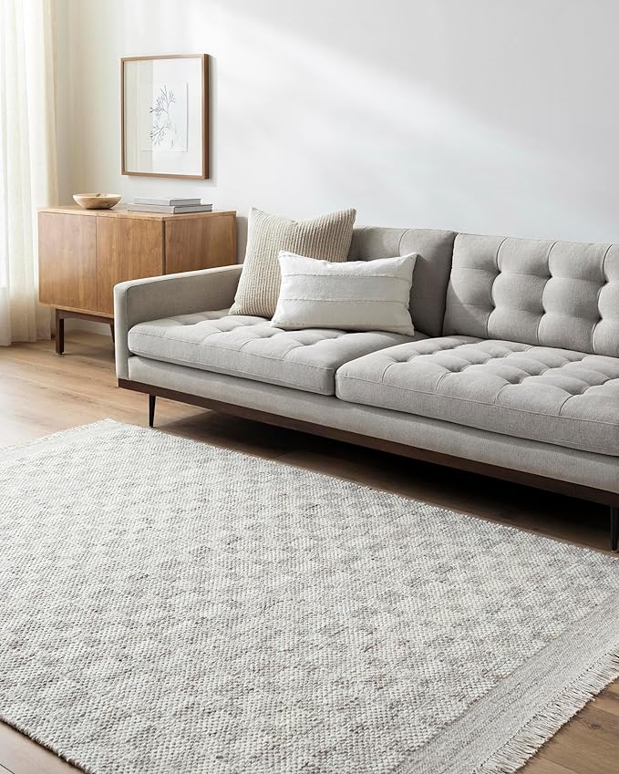 Mark&Day Wool Rugs, 6x9 Clinten Solid and Border Light Gray Checkered Rug, Grey Ivory Carpet for Living Room, Bedroom or Kitchen (6' x 9')