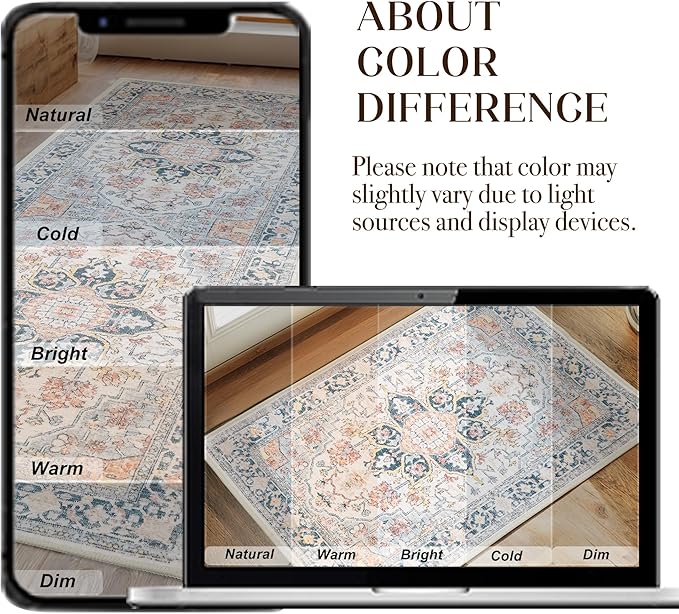 XWZO Entryway Area Rug 2x3ft — Soft Vintage Low Pile Non-Slip Door Floor Mat for Bedroom Bathroom Kitchen Laundry, Spill Resistant Washable Small Indoor Carpet for Doorway Entrance, Colorful