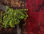 Unique Loom Barista Collection Area Rug - Kouillou (10' x 14' 1" Rectangle, Multi/ Brown)