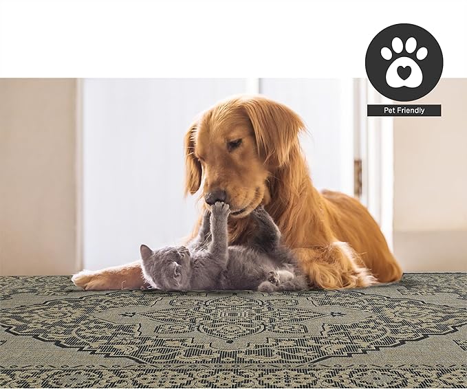 FH Home Flat Woven Outdoor Rug - Waterproof, Easy to Clean, Stain Resistant - Premium Polypropylene Yarn - Vintage - Large Patio, Deck, Sunroom - Ankara - Charcoal - 7ft 10 in x 10ft 9in