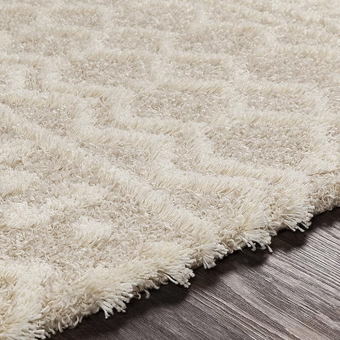 Livabliss Hapsburg Moroccan Shag Runner Area Rug,2'7" x 20', Beige