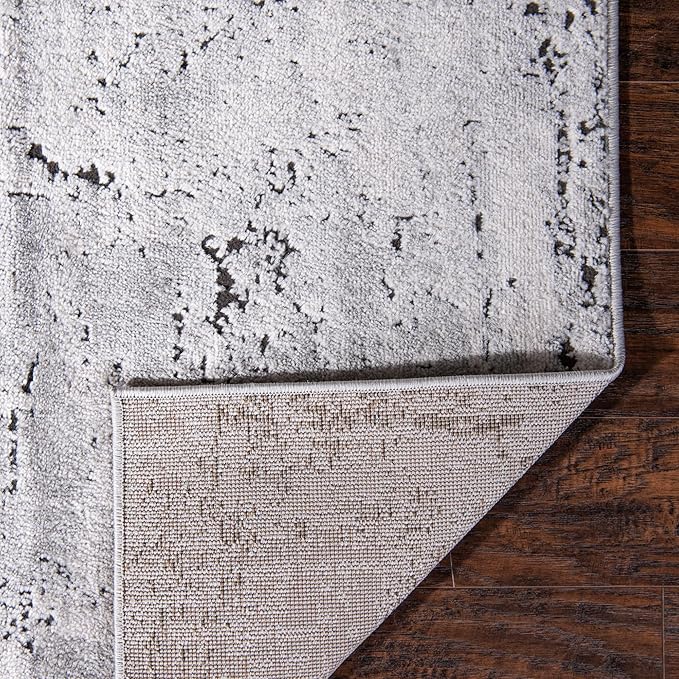 Rugs.com Leipzig Collection Rug – 3x5 Gray Low-Pile Rug Perfect for Entryways, Kitchens, Breakfast Nooks, Accent Pieces