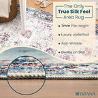 Istana 4x6 Rug - Multi Colors Area Rugs 4x6 - Kid & Pet Friendly Machine Washable Rugs - 4 x 6 Area Rug Non Slip & Non Shedding Area Rug - Foldable Rug for Room for Bedroom